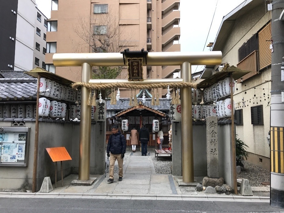 京都の庭園を見学