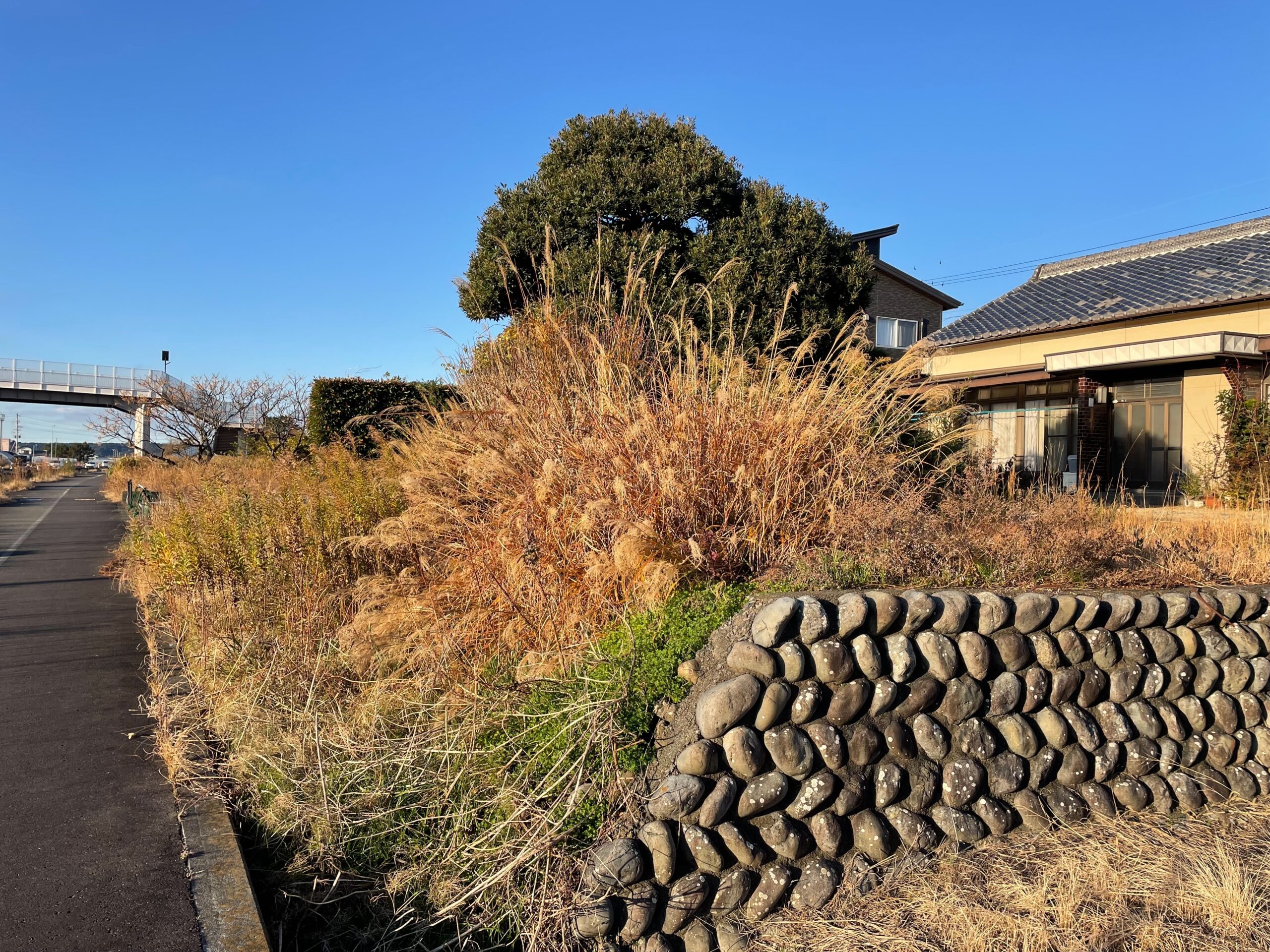 吉田町H様邸 年末恒例の庭木剪定で綺麗にすっきり！